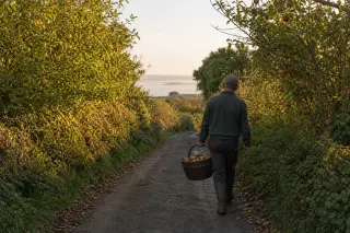 A farmer walking along a quiet country lane lined with hedgerows and apple trees, carrying a basket, golden afternoon light highlighting the rural landscape near the Seine estuary.